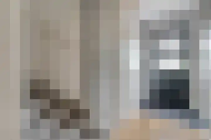 Juffrouw Koetlaan 49 Kampen thumbnail 5