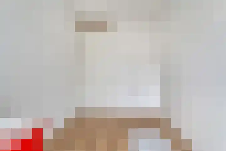 Juffrouw Schefferstraat 5 Bruchterveld thumbnail 17