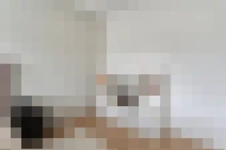 Juffrouw Schefferstraat 5 Bruchterveld thumbnail 18