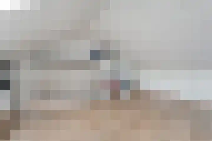 Juffrouw Schefferstraat 5 Bruchterveld thumbnail 19