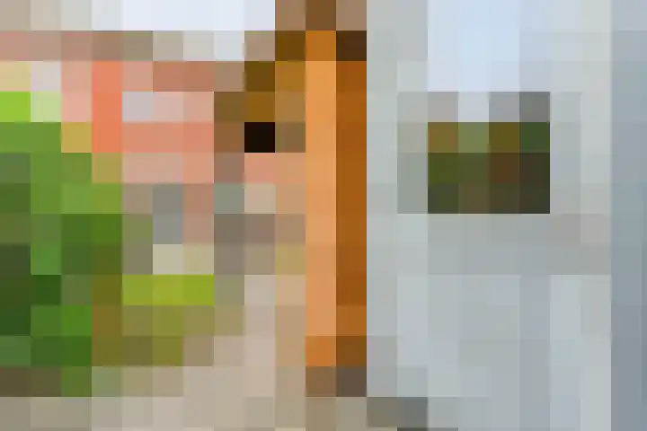 Juffrouw Schefferstraat 5 Bruchterveld thumbnail 23