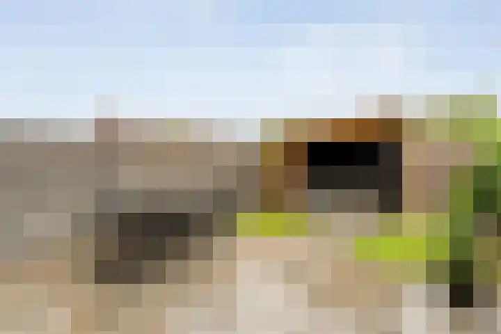 Juffrouw Schefferstraat 5 Bruchterveld thumbnail 24