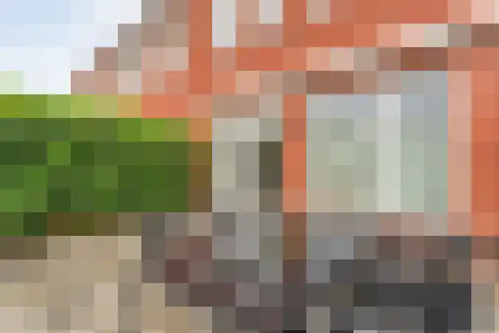 Juffrouw Schefferstraat 5 Bruchterveld thumbnail 26