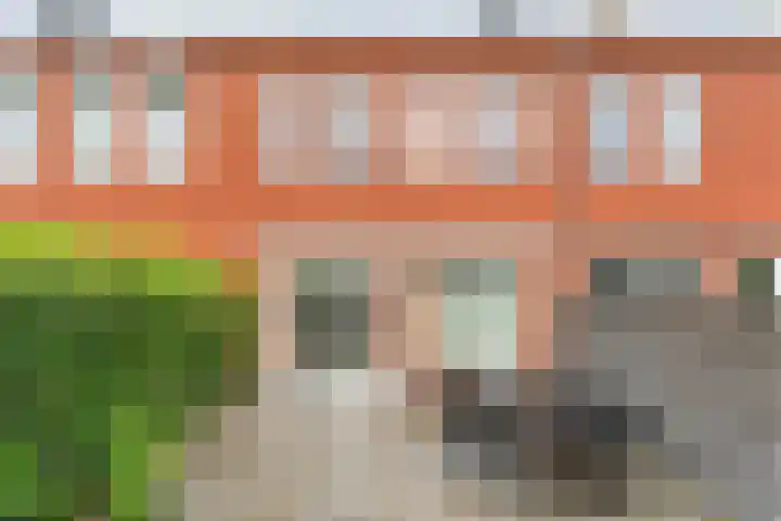 Juffrouw Schefferstraat 5 Bruchterveld thumbnail 27