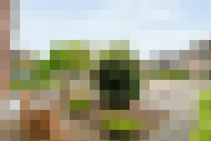 Juffrouw Schefferstraat 5 Bruchterveld thumbnail 28
