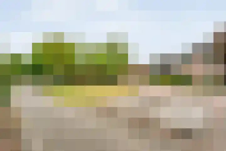 Juffrouw Schefferstraat 5 Bruchterveld thumbnail 29