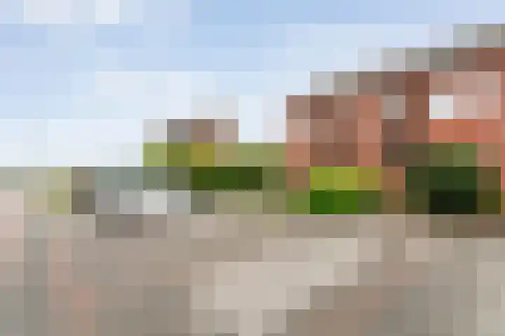 Juffrouw Schefferstraat 5 Bruchterveld thumbnail 30