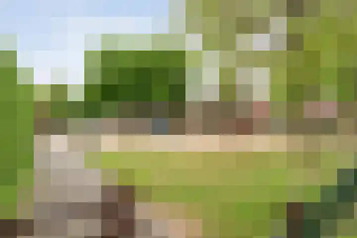 Juffrouw Schefferstraat 5 Bruchterveld thumbnail 31