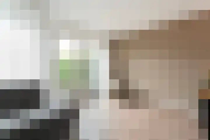 Juffrouw Schefferstraat 5 Bruchterveld thumbnail 6