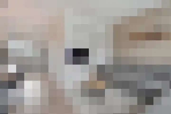 Juffrouw Schefferstraat 5 Bruchterveld thumbnail 7