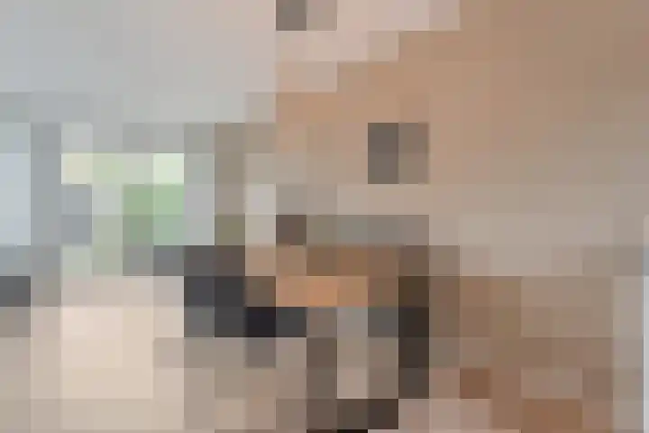Juffrouw Schefferstraat 5 Bruchterveld thumbnail 9