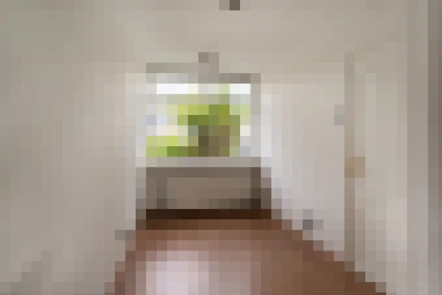 Juinbolstraat 5 Arnhem thumbnail 18