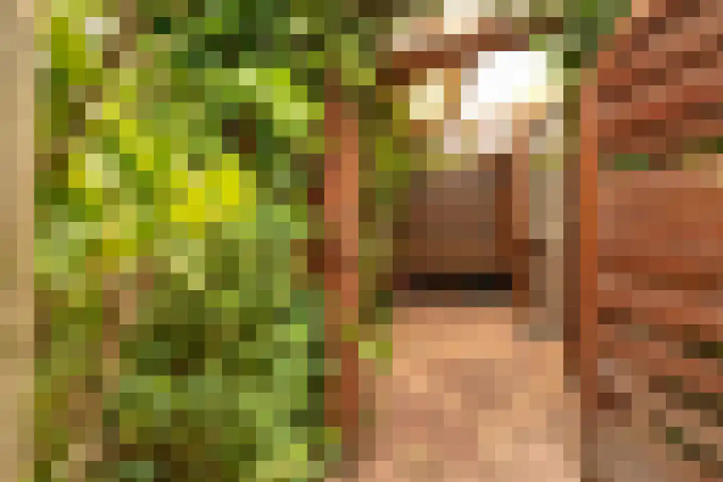 Juinbolstraat 5 Arnhem thumbnail 32