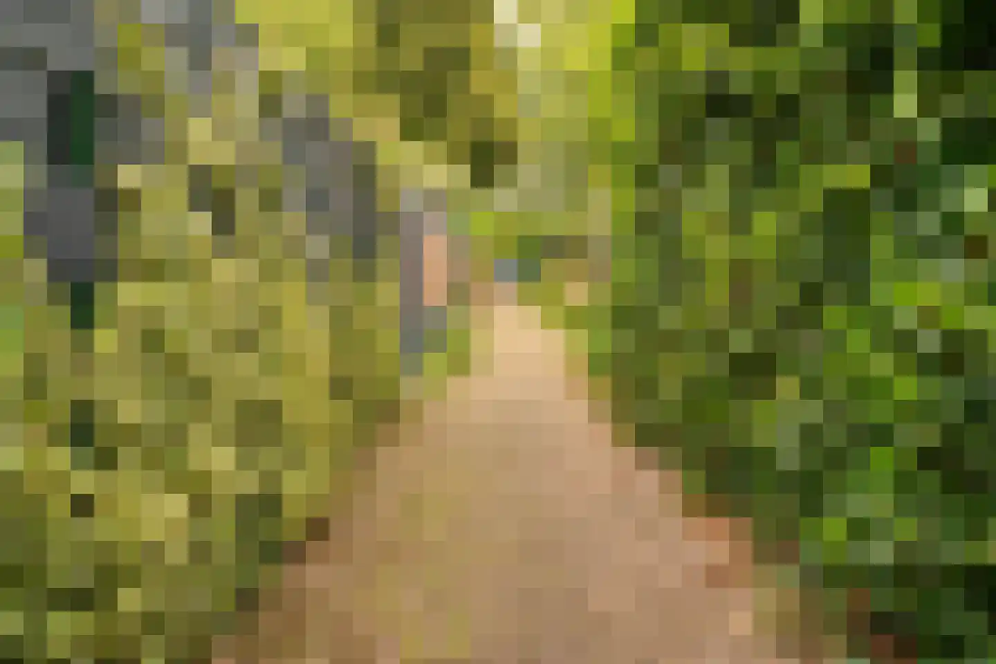 Juinbolstraat 5 Arnhem thumbnail 33