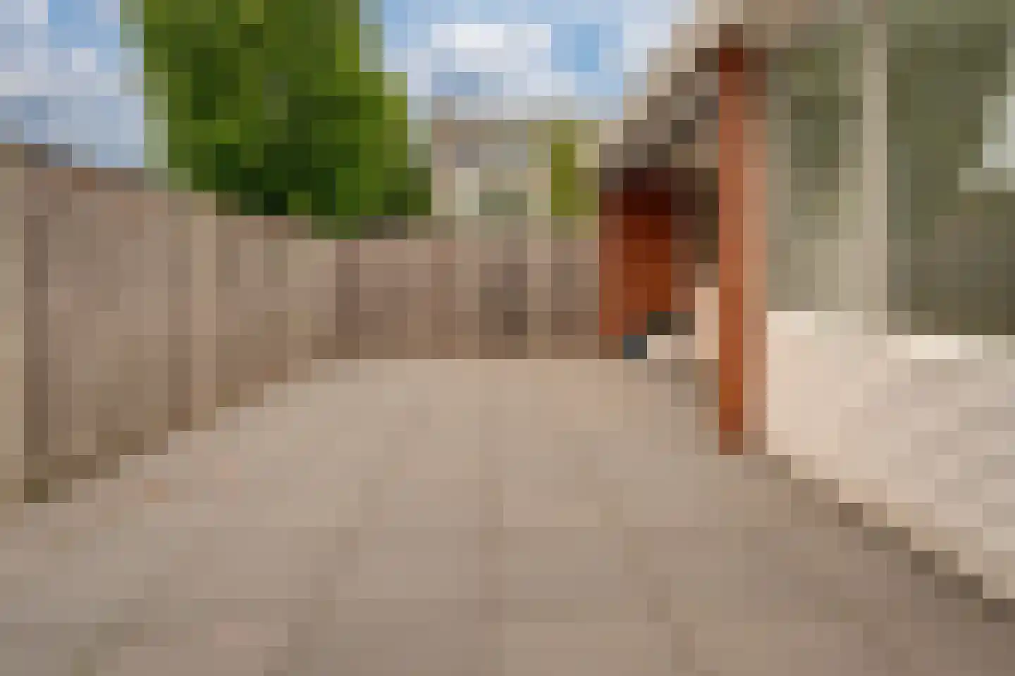 Juinbolstraat 5 Arnhem thumbnail 4