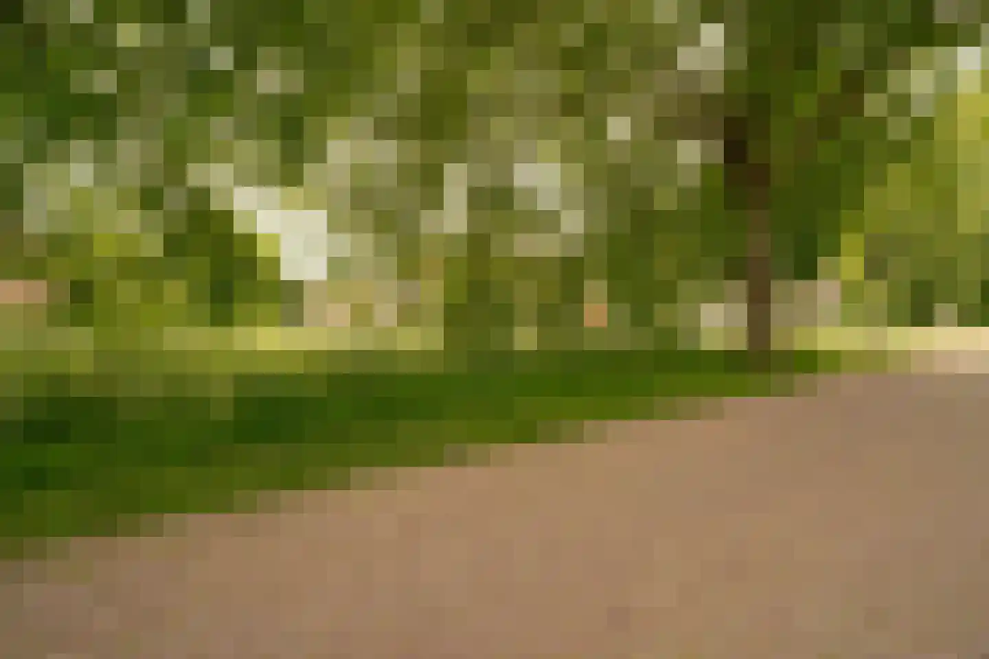 Juinbolstraat 5 Arnhem thumbnail 7