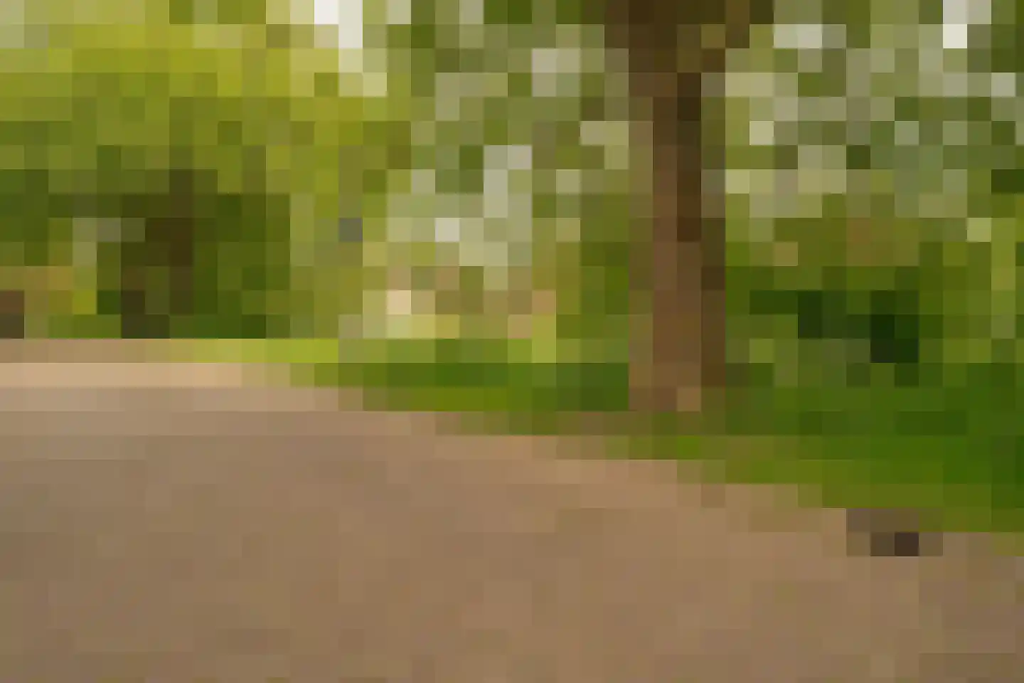 Juinbolstraat 5 Arnhem thumbnail 8