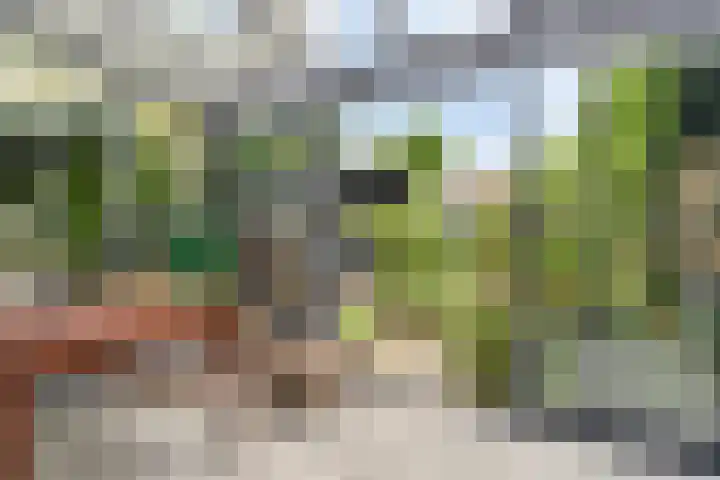 Juinbolstraat 9 Arnhem thumbnail 10