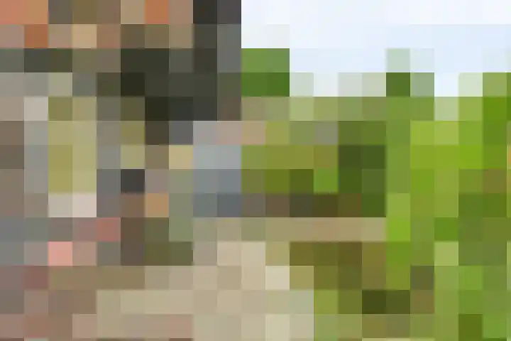 Juinbolstraat 9 Arnhem thumbnail 13