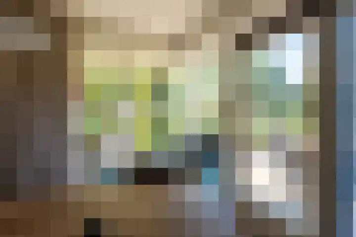 Juisterpad 2 Loppersum thumbnail 13