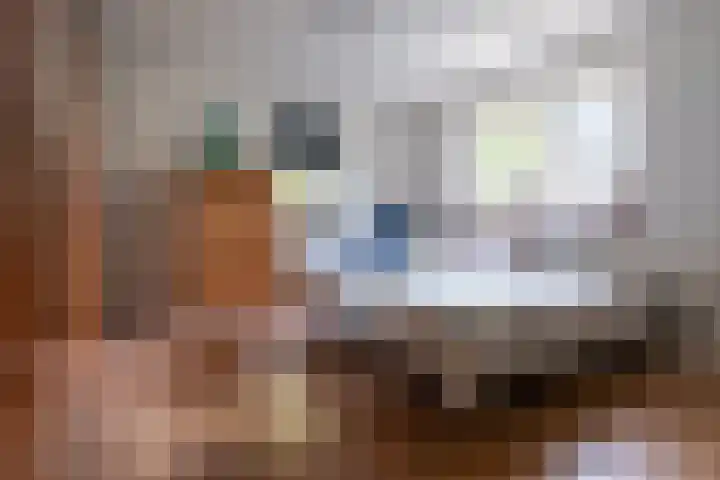 Juisterpad 2 Loppersum thumbnail 14