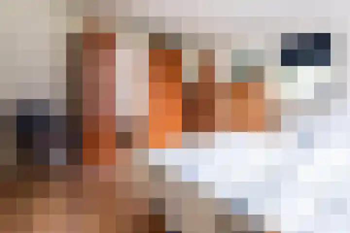 Juisterpad 2 Loppersum thumbnail 15