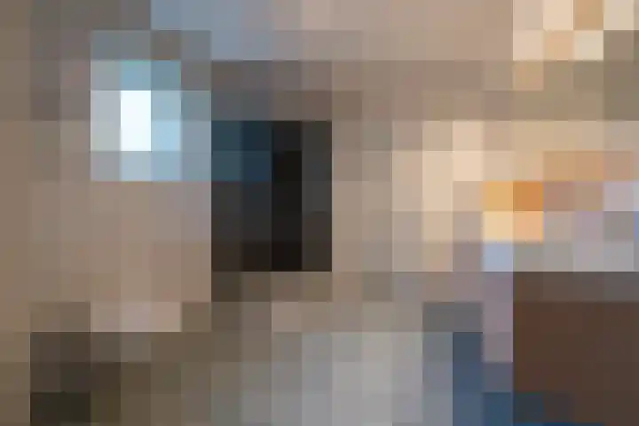 Juisterpad 2 Loppersum thumbnail 16