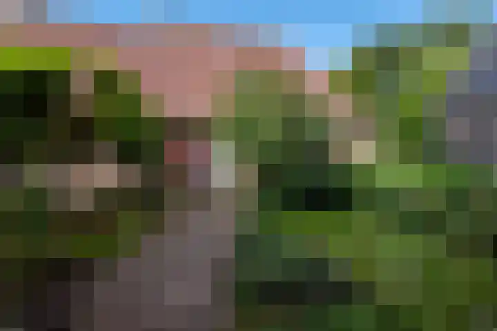 Juisterpad 2 Loppersum thumbnail 20