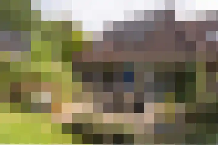 Juisterpad 2 Loppersum thumbnail 21
