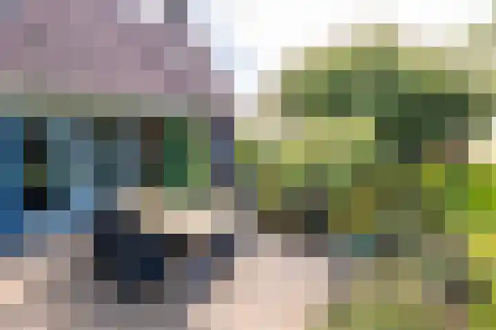Juisterpad 2 Loppersum thumbnail 22