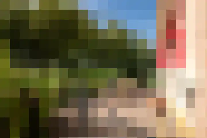 Juisterpad 2 Loppersum thumbnail 23