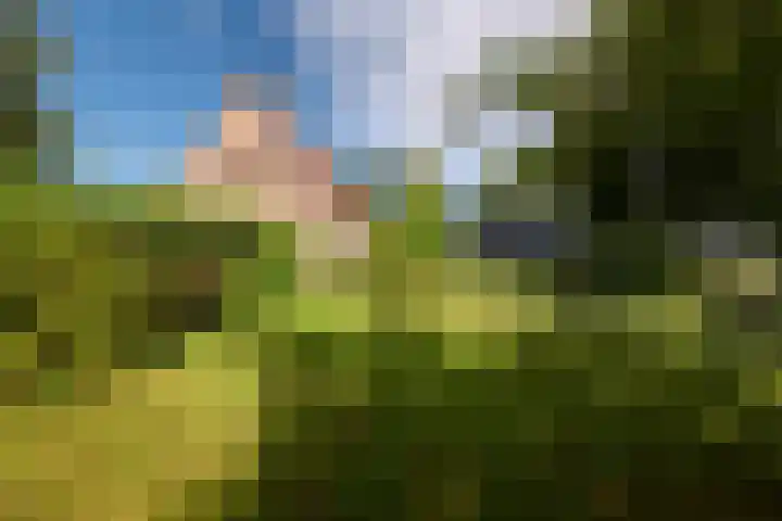 Juisterpad 2 Loppersum thumbnail 24