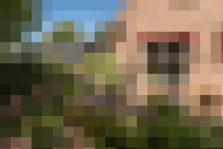 Juisterpad 2 Loppersum thumbnail 26