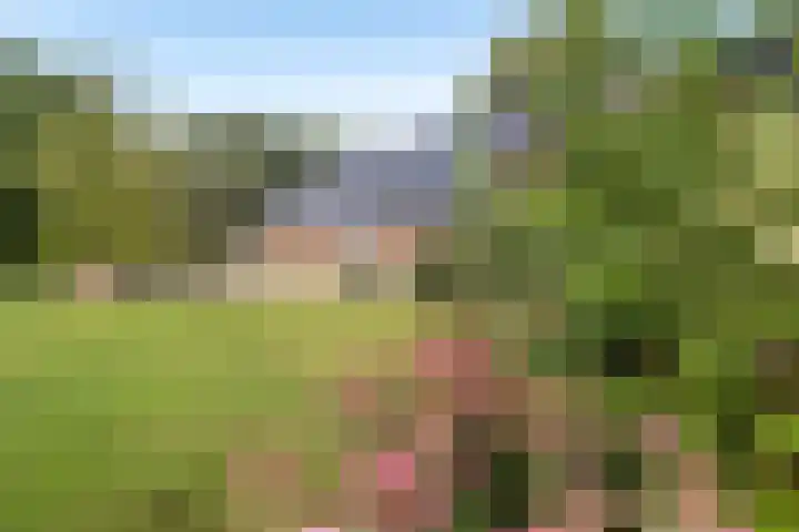 Juisterpad 2 Loppersum thumbnail 27