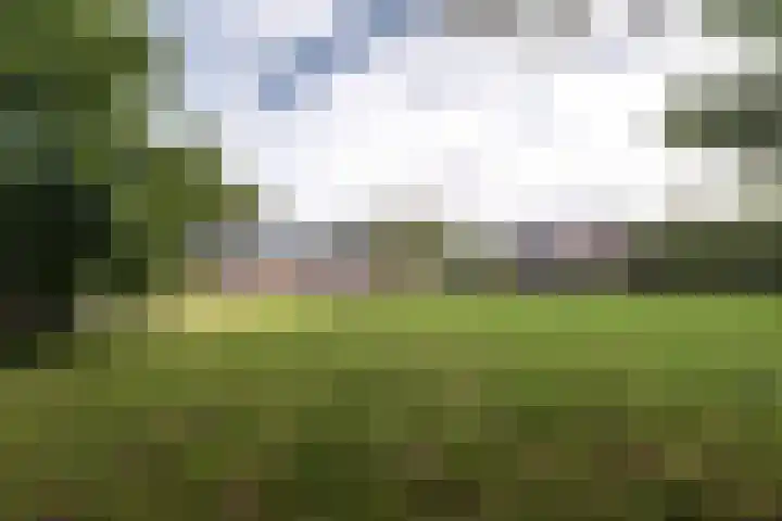 Juisterpad 2 Loppersum thumbnail 29
