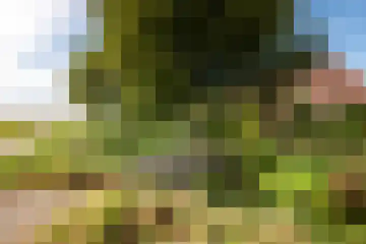 Juisterpad 2 Loppersum foto 3