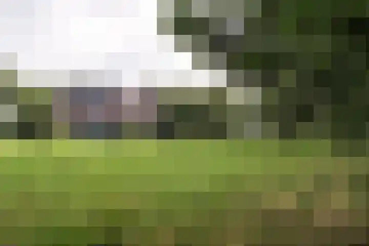 Juisterpad 2 Loppersum thumbnail 30
