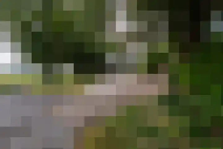 Juisterpad 2 Loppersum thumbnail 31