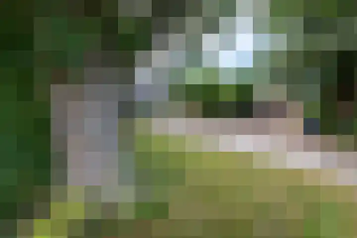 Juisterpad 2 Loppersum thumbnail 32