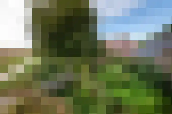 Juisterpad 2 Loppersum thumbnail 33