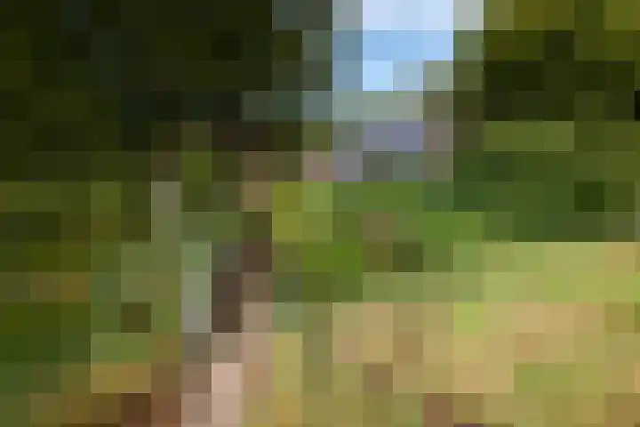 Juisterpad 2 Loppersum thumbnail 34