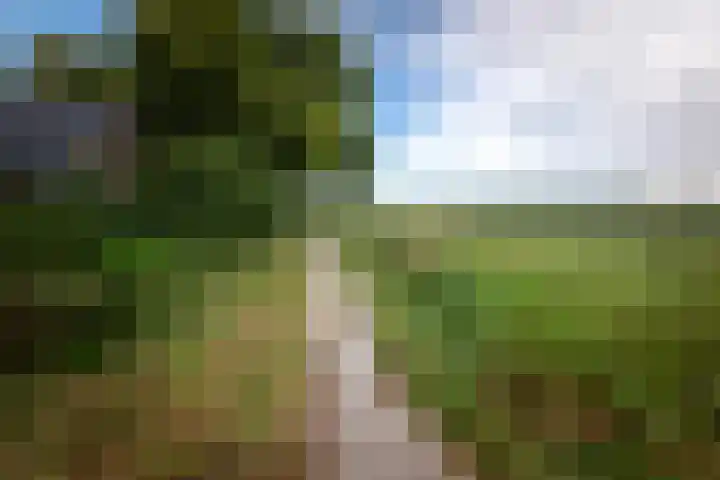 Juisterpad 2 Loppersum thumbnail 35