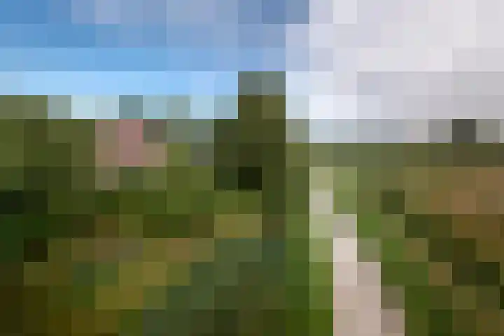 Juisterpad 2 Loppersum thumbnail 36