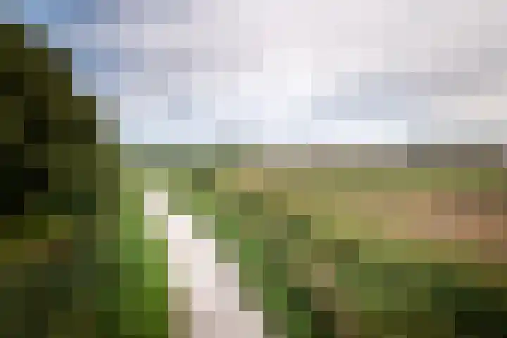 Juisterpad 2 Loppersum thumbnail 37