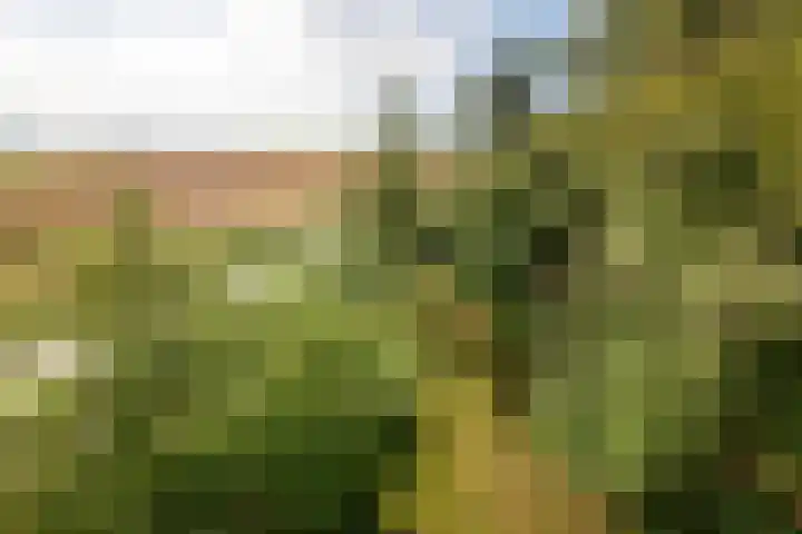 Juisterpad 2 Loppersum thumbnail 38