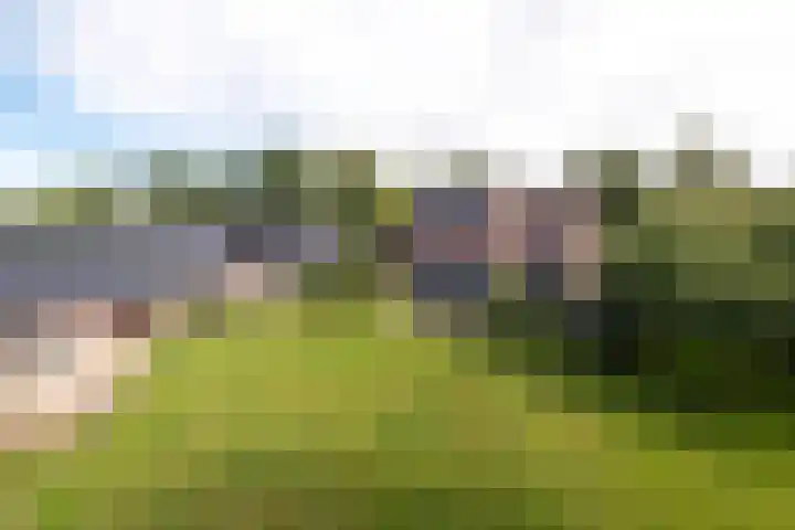 Juisterpad 2 Loppersum thumbnail 39