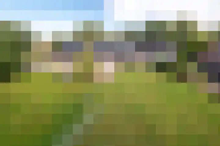 Juisterpad 2 Loppersum thumbnail 40