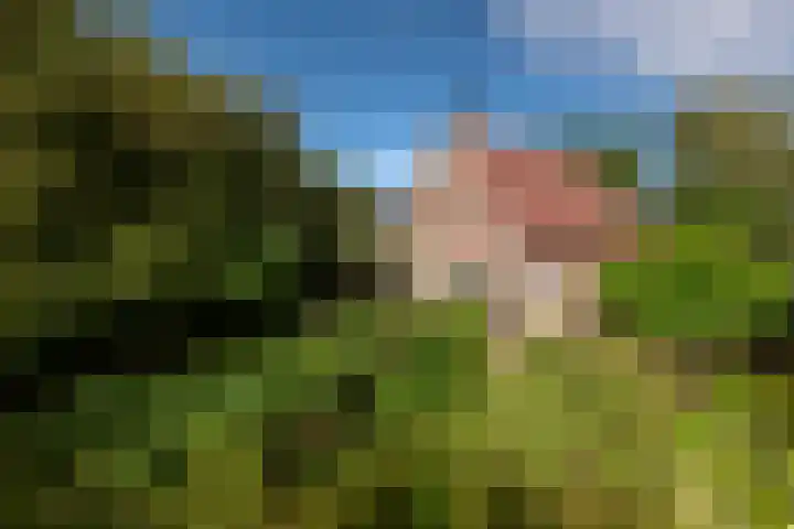 Juisterpad 2 Loppersum thumbnail 46