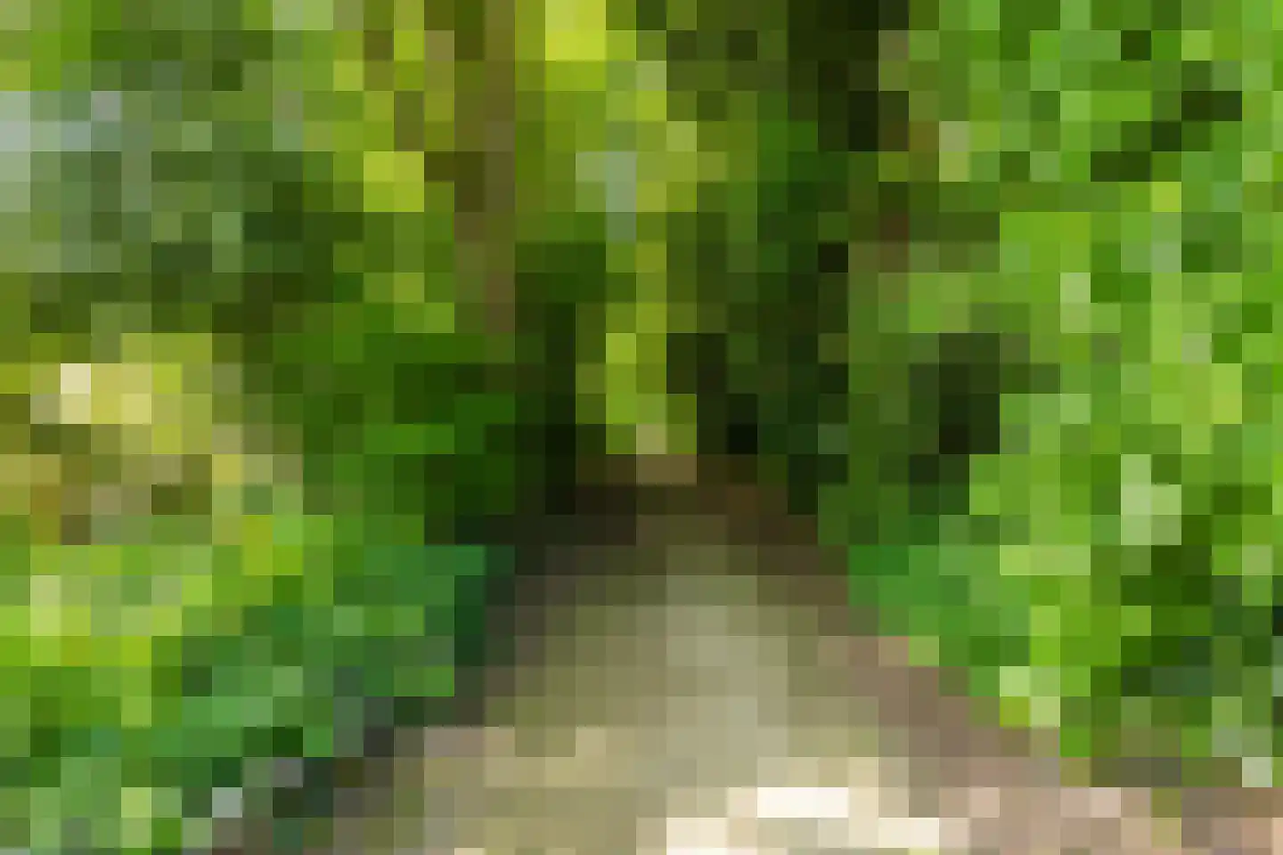 Jûkelburd 8 Ureterp thumbnail 14
