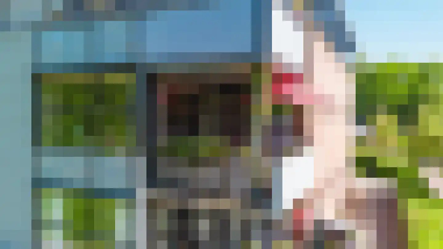 Jûkelburd 8 Ureterp thumbnail 16